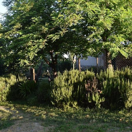 Il Saragio Villa Abbadia di Montepulciano Ngoại thất bức ảnh