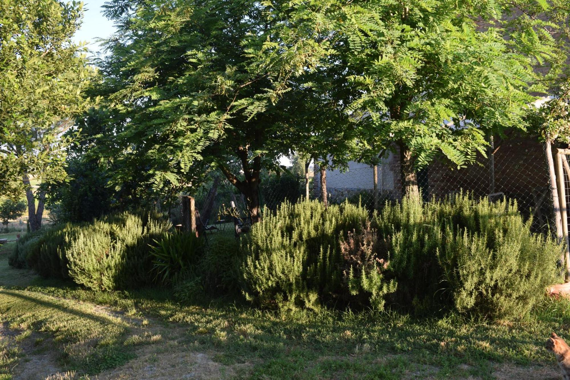Il Saragio Villa Abbadia di Montepulciano Ngoại thất bức ảnh