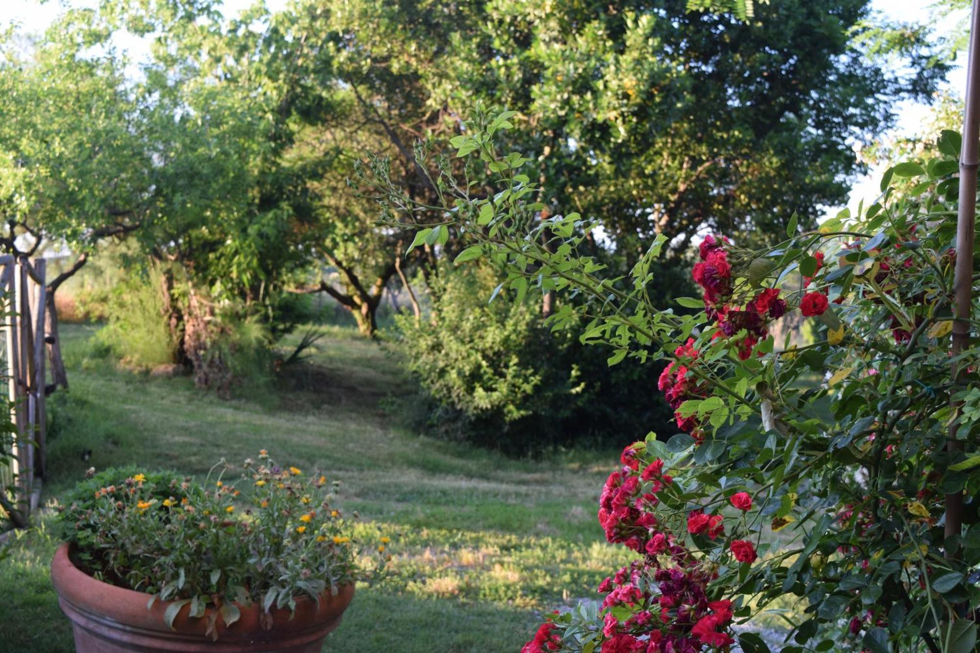 Il Saragio Villa Abbadia di Montepulciano Ngoại thất bức ảnh