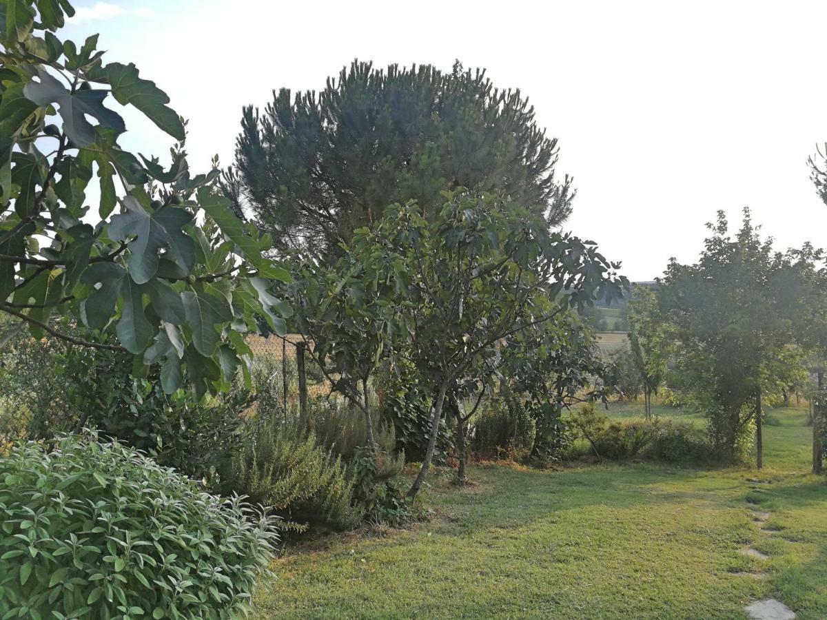 Il Saragio Villa Abbadia di Montepulciano Ngoại thất bức ảnh